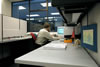 IBO arq  115